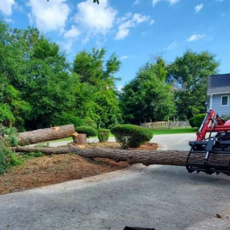 Emergency Tree Services in Maple Hill, NC, and Surrounding Areas Icon