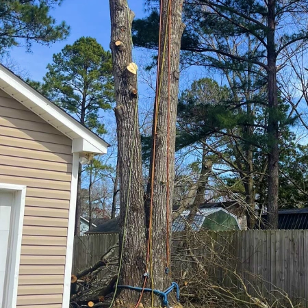 Storm Damage Clean Up Services in Maple Hill, NC, and Surrounding Areas Icon