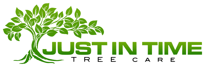 just in time tree care logo